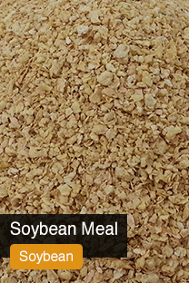 Product Soybean Meal Yellowrock